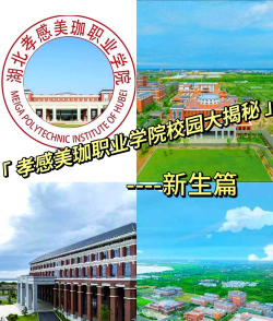 湖北孝感美珈职业学院有哪些学院？