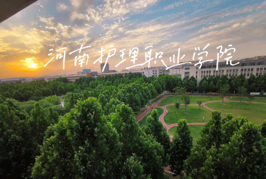 河南护理职业学院有哪些院系？