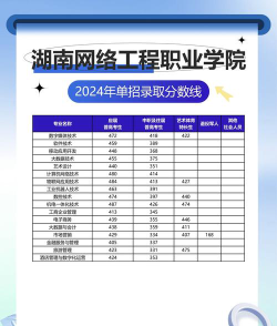 2024年湖南网络工程职业学院在全国各省录取分数线是多少