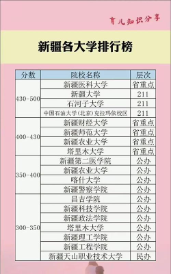 2024新疆515分能考上哪些大学