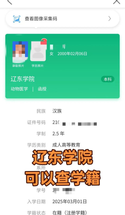 2024年辽东学院各专业在安徽录取分数线