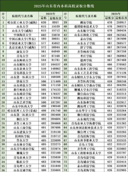 2025年山东299分能够报什么大学