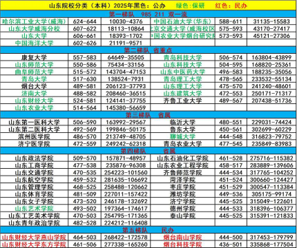 2025年山东393分能够报什么大学