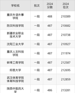 2025年山东487分能够报什么大学