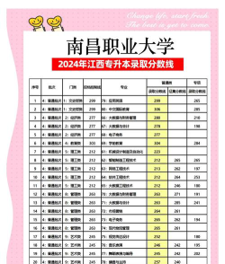2024南昌职业大学艺术类录取规则