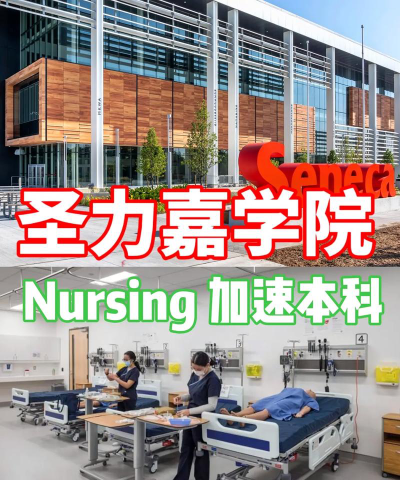 圣力嘉学院专业怎么样