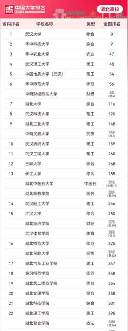 2025年湖北253分能够报什么大学