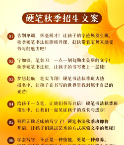 书法班怎么选专业好