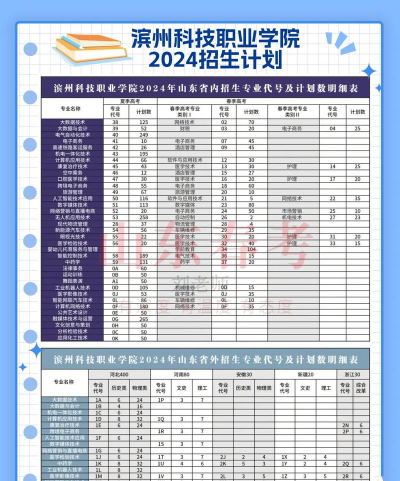 2024滨州科技职业学院招生计划