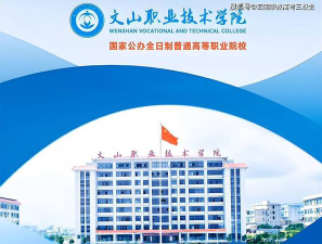 文山职业技术学院的学校代码是什么