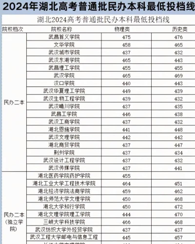 2025年湖北289分能够报什么大学