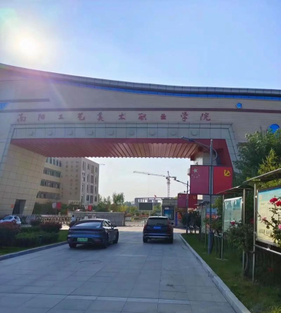 南阳工艺美术职业学院是公办还是民办