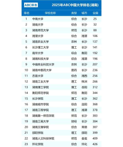 2025年湖南300分能够报什么大学