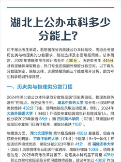 2025年湖北460分能上大学吗