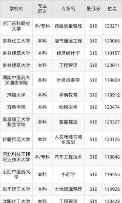 2026年安徽510分能报考什么大学