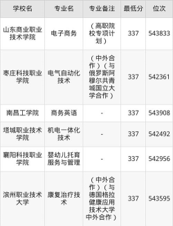 2026年山东337分能报考什么大学