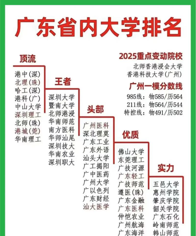2025年广东239分能够报什么大学