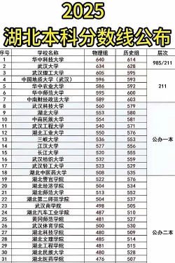 2025年湖北物理类527分能上大学吗