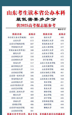 2025年高考山东258分左右能考上哪些学校