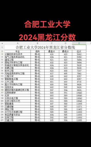 2024年合肥工业大学各专业在黑龙江录取分数线