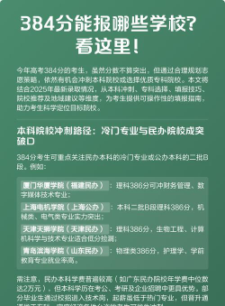 2025年384分能够报什么大学