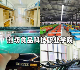 潍坊食品科技职业学院是几本