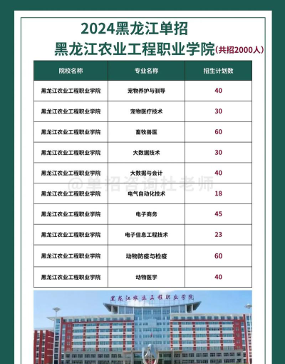 黑龙江农业工程职业学院2024全国各省招生计划