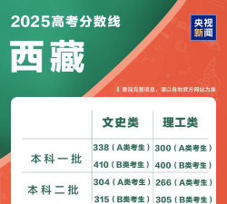 2025年西藏理科295分能够报什么大学