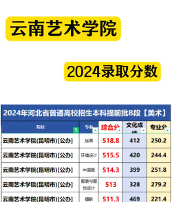 2024年云南艺术学院各专业在山西录取分数线