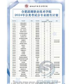 民办合肥滨湖职业技术学院2024全国各省招生计划