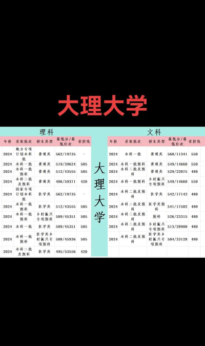 2024年大理大学各专业在上海录取分数线