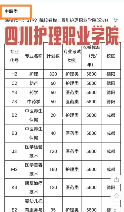 四川护理职业学院2024全国各省招生计划