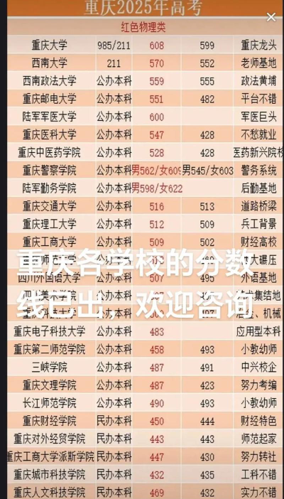 2025年重庆物理类561分能上大学吗