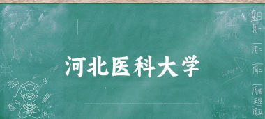 2024年河北医科大学在重庆全部专业录取位次、分数线