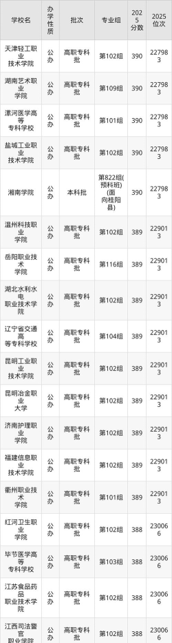 2025年高考湖南385分左右能考上哪些学校