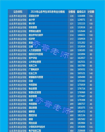 山东青年政治学院2024年在山东录取分数线、对应位次