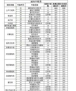 2024年厦门华天涉外职业技术学院在山东全部专业录取位次、分数线