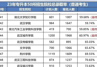 内蒙古考生多少分能上武汉晴川学院