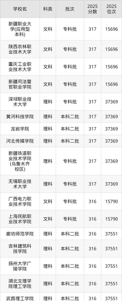 2025年河北316分能够报什么大学