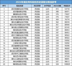 2024年湖北汽车工业学院各专业在山东录取分数线