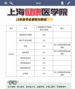 2024年上海健康医学院在山东全部专业录取位次、分数线
