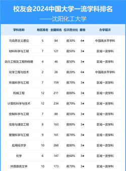 2024沈阳化工大学各学科排名