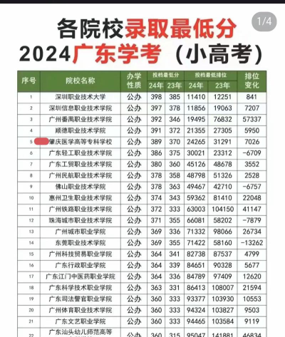 肇庆医学院2024年在贵州各专业录取分数线