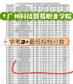 广州科技贸易职业学院2024年在重庆各专业录取分数线