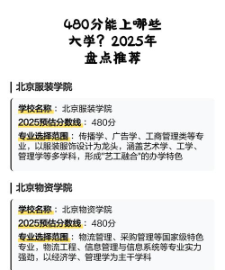2025年480分能够报什么大学