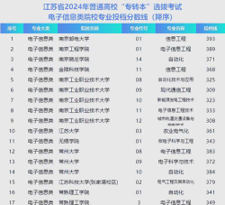2024年江苏电子信息职业学院在重庆全部专业录取位次、分数线