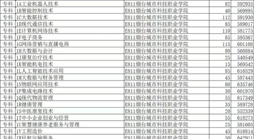 烟台城市科技职业学院2024年在河北各专业录取分数线