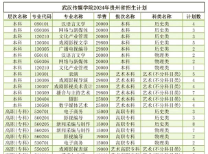 武汉传媒学院2024年在贵州各专业录取分数线