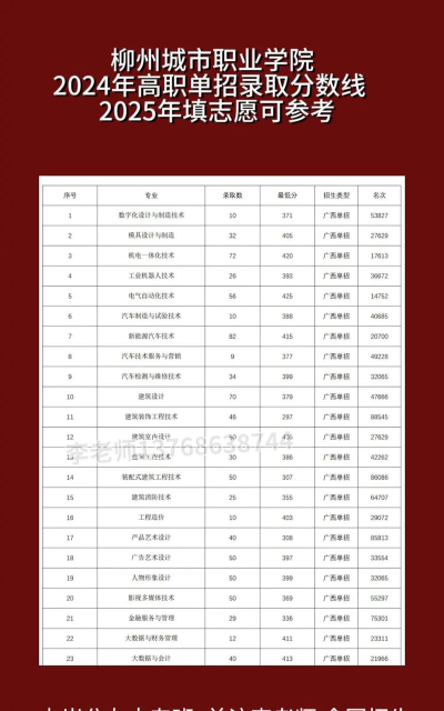 2024年柳州城市职业学院在重庆全部专业录取位次、分数线