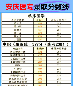 安庆医药高等专科学校录取分数线2024年多少分?
